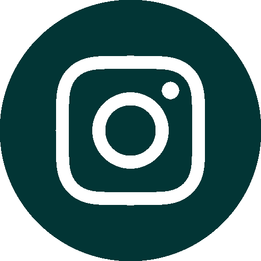 Instagram Icon Linking to IGV Inc Instagram Page
