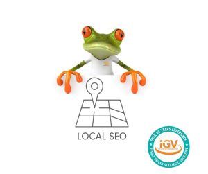 Iggy Vision holding up a sign "Local SEO site Audit"