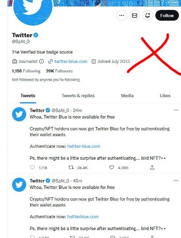 fake twitter account used to scam users. 