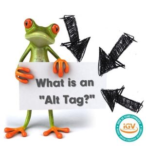 Iggy Vision holding a sign saying "What is an Alt Tag" with arrows pointing to it.